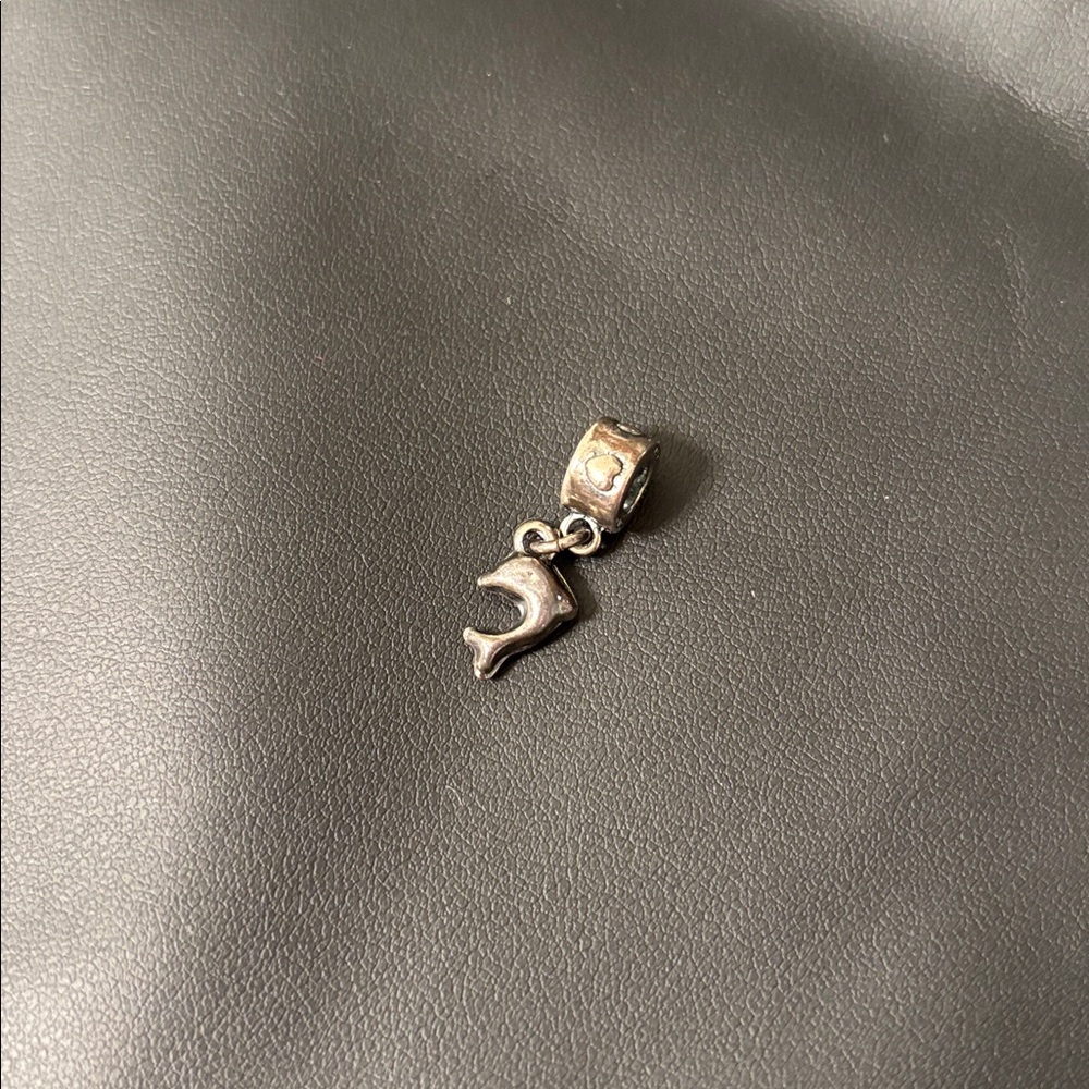 Kay Jewelers Silver dolphin Charm